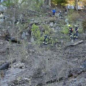WaldbrandRein (21)